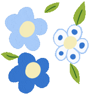 Kaszuby Sticker