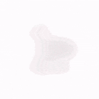 Ffr GIF by Good Vibes Dogtography