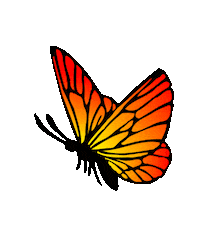 Fly Butterfly Sticker