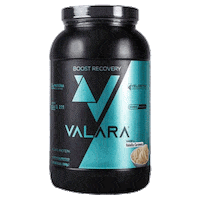 valaranutrition chocolate strawberry protein recovery Sticker