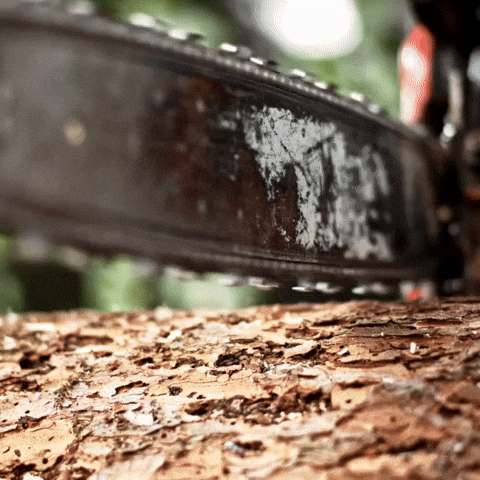 Tree Removal Service GIF by Oi