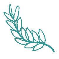 Collaborative Sticker by classy.org