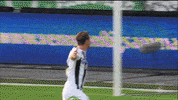 Celebration Sturmgraz GIF by SK Sturm
