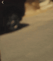 Whats Up Friends GIF