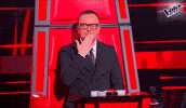 Thevoiceseniorit GIF by The Voice of Italy