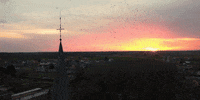 Bird Church GIF by Moments of Colour