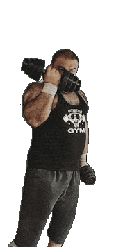 Gym Bear Sticker by Database數據