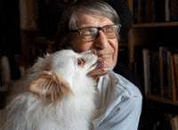 pawsny  GIF