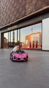 hilariadulcinea animals dogs auto diva GIF