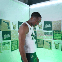 South Florida Horns Up GIF by USF Athletics
