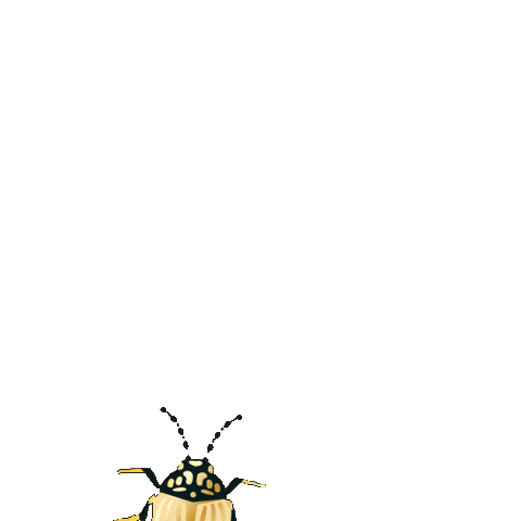 Gold Gift Sticker by DCWV Inc