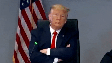 michele giphyupload GIF