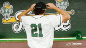 College Baseball Luis GIF by GreenWave