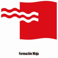 Flag Spain GIF by Formación Ninja