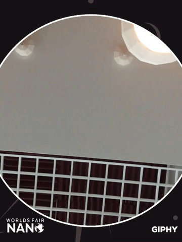 worlds fair nano GIF