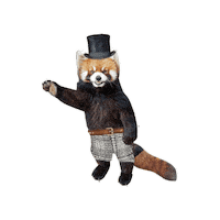 Waving Red Panda Sticker by Birch Benders