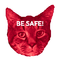 Cat Stay Safe Sticker