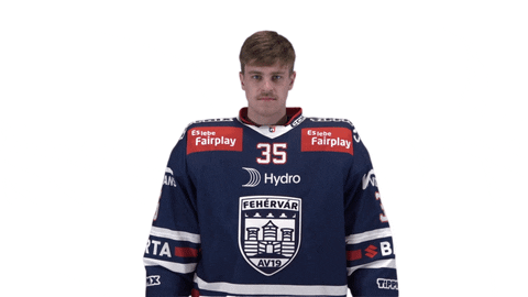 Celebration Goal GIF by Fehervar AV19