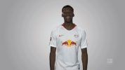 rb leipzig GIF by Bundesliga
