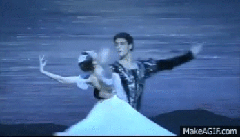 swan lake GIF