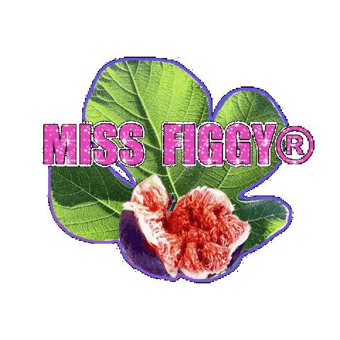 Fig Figgy Sticker by Efecantarim
