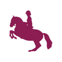 snuitable horse dressage horseriding lusitano Sticker