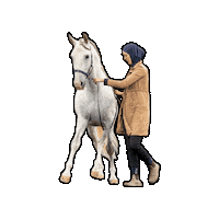 snuitable dressage horsetraining lusitano dressuur Sticker
