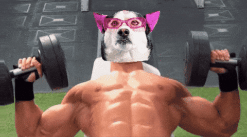 Lets Go Dog GIF by SWAGGY WOLFDOG