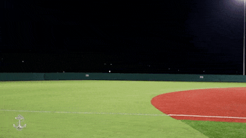 Celebration Go Navy GIF by Navy Athletics