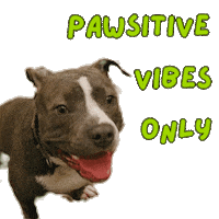 Sticker by Paws in the City
