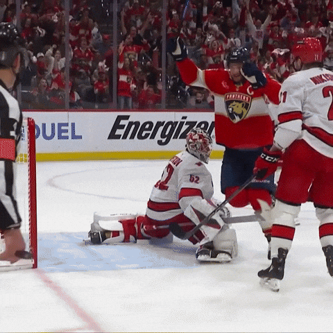 Aleksander Barkov Smile GIF by Florida Panthers