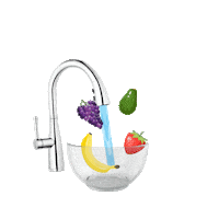 pfisterlatam water cooking pet chef Sticker