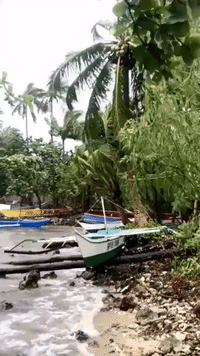 Powerful Winds Hit the Philippines as Typhoon Makes Landfall