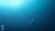 Mediate Under Water GIF by Rainbow Six Siege