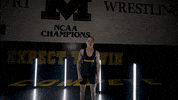 Ncaa Noah GIF by Mizzou Athletics