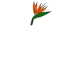 Birdofparadise Sticker by Byrdie Beauty