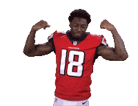 Atlanta Falcons Sticker Sticker by NFL