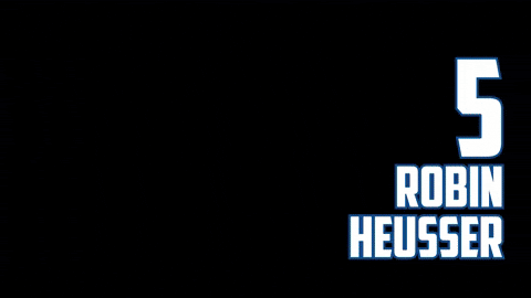 Soccer Bundesliga GIF by Karlsruher SC