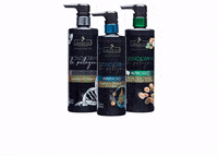 specialvetoficial nutricao hidratacao groomer banhoetosa GIF