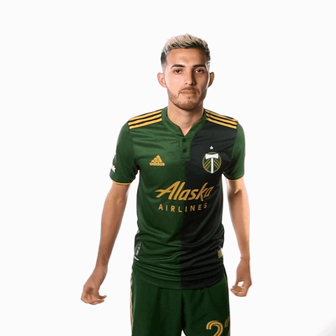 Portland Timbers Sport GIF by Timbers