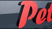peterproduction 3d artist interview production GIF