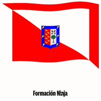 Pais Vasco Bandera GIF by Formación Ninja