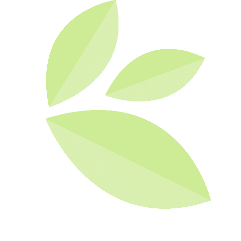 plant leaves Sticker