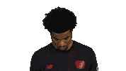 Look Up Bayer Leverkusen Sticker by Bundesliga