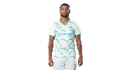 Goal Celebrate Sticker by SpVgg Greuther Fürth