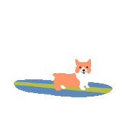 Dog Surfing Sticker by Airbnb