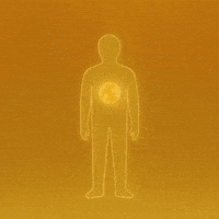 World Earth GIF by WeQuorum