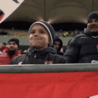 Football Waving GIF