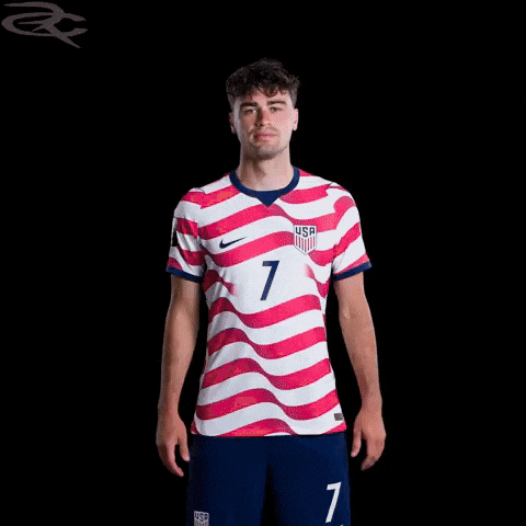 Fifa World Cup Usa GIF by Respective
