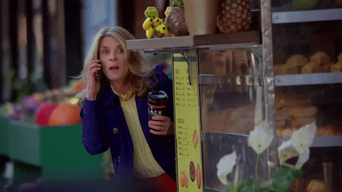 used_car_brad giphygifmaker karen GIF
